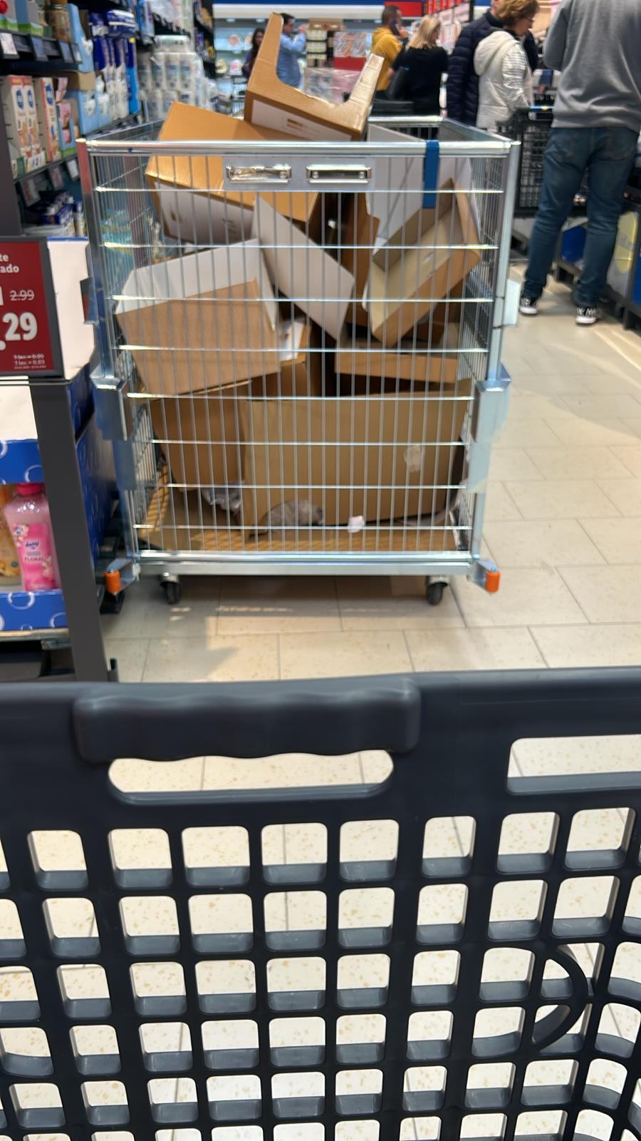 Lidl Cartagena-Mandarache: fotografía 2