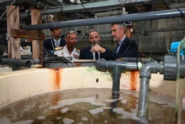 Imagen de la fuente asociada a: La Algameca, el laboratorio de la UMU donde se investiga la salud y el bienestar de los peces