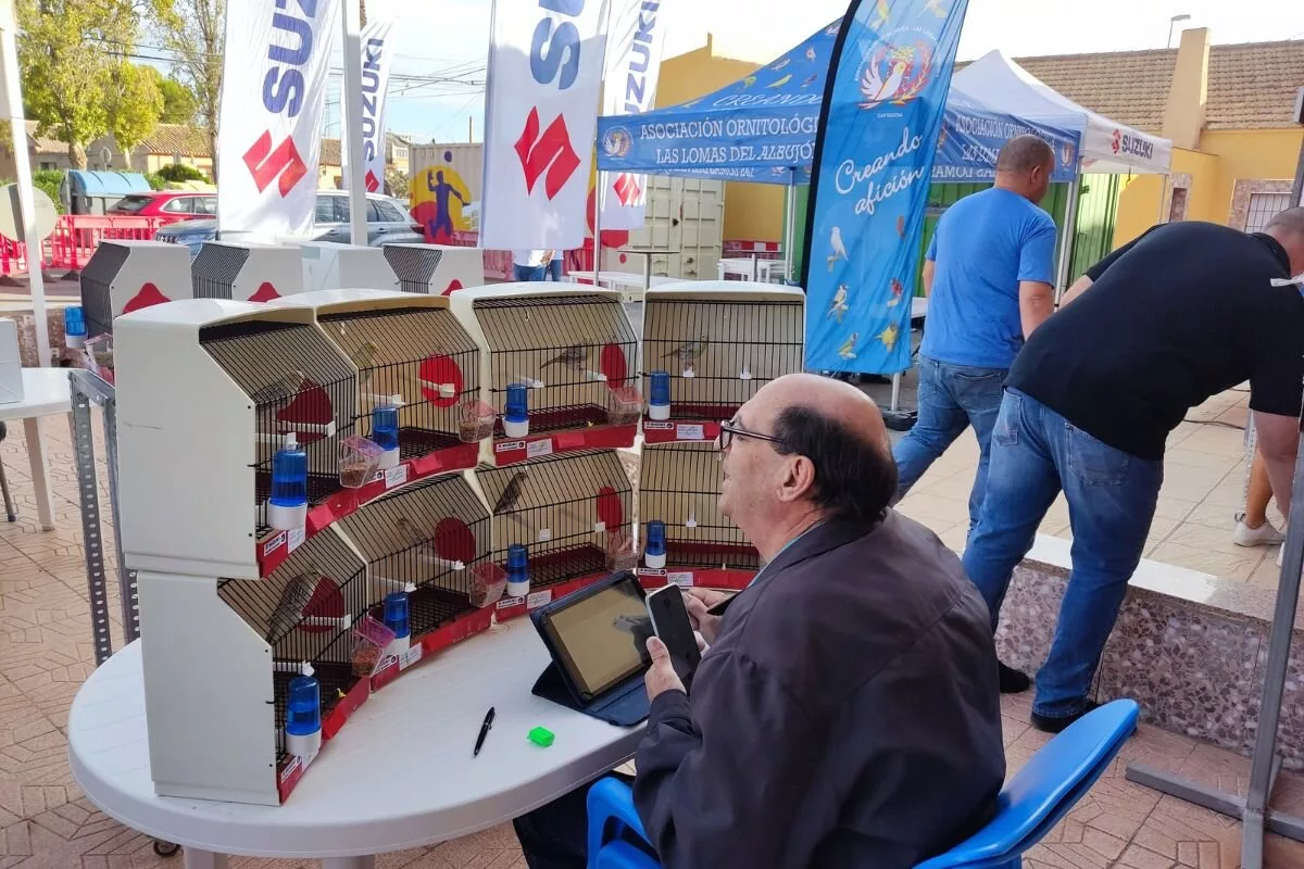 Imagen de la fuente asociada a: Las Lomas del Albujón reúne a aficionados de toda España en la VII Exposición Ornitológica del Campo de Cartagena