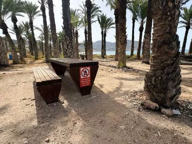 Imagen de la fuente asociada a: Cartagena aprueba el desarrollo urbanístico de San Ginés con protección para el palmeral y la Pinada del Alacrán