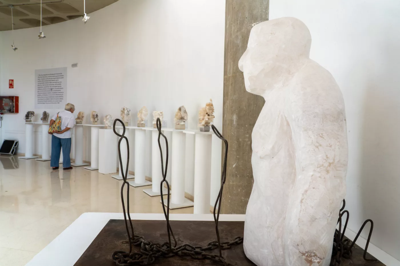 Imagen de la fuente asociada a: La artista Marta Fresneda propone 'Volver al origen' con su exposición escultórica en El Luzzy