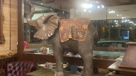 El Paso de los Elefantes, restaurante en Cartagena